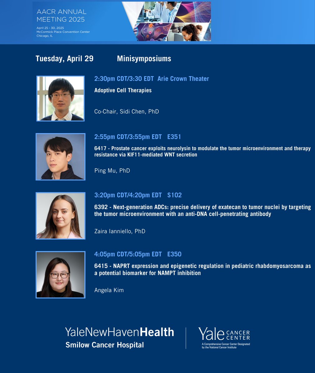 Yale Cancer Center (@yalecancer) on Twitter photo This afternoon at #AACR25, we have <a href="/PingMu_PhD/">Ping Mu 🇺🇦</a>, Zaira Ianniello <a href="/GlazerLab/">Glazer Lab</a>, and Angela Kim presenting in minisymposiums, while <a href="/sidichen/">Sidi Chen</a> co-chairs a session on Adoptive Cell Therapies.
<a href="/SmilowCancer/">Smilow Cancer Hospital</a> <a href="/YaleMed/">Yale School of Medicine</a> <a href="/YNHH/">Yale New Haven Hosp</a> <a href="/Yale_Urology/">Yale Urology</a> This afternoon at #AACR25, we have <a href="/PingMu_PhD/">Ping Mu 🇺🇦</a>, Zaira Ianniello <a href="/GlazerLab/">Glazer Lab</a>, and Angela Kim presenting in minisymposiums, while <a href="/sidichen/">Sidi Chen</a> co-chairs a session on Adoptive Cell Therapies.
<a href="/SmilowCancer/">Smilow Cancer Hospital</a> <a href="/YaleMed/">Yale School of Medicine</a> <a href="/YNHH/">Yale New Haven Hosp</a> <a href="/Yale_Urology/">Yale Urology</a>