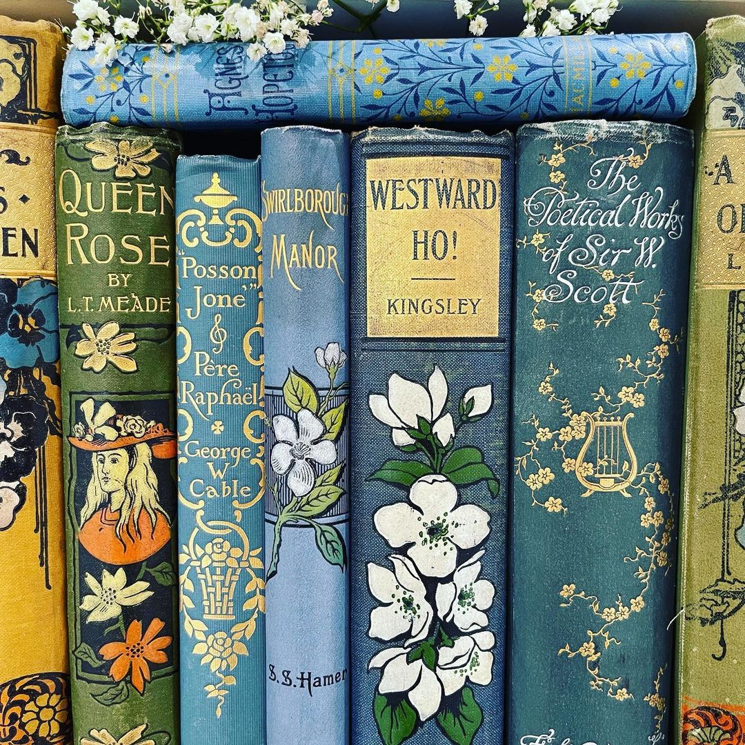 softdeIicacy's tweet image. pretty vintage books.