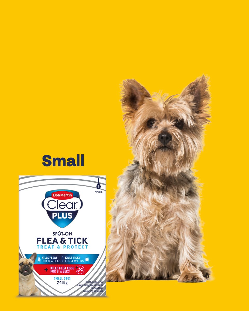 Bob Martin Pets tweet media