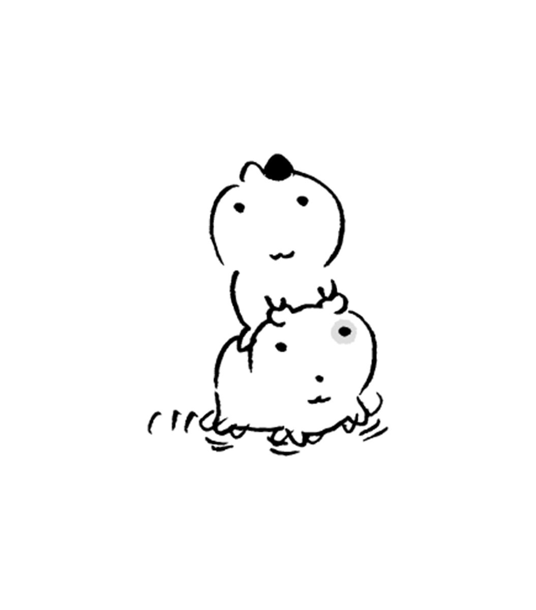 nunmeongi's tweet photo. https://t.co/JyEpMdF0Ho