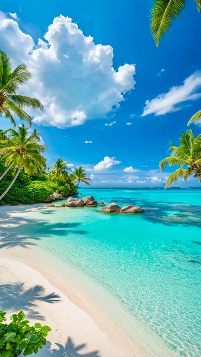 turquesa_711's tweet image. 