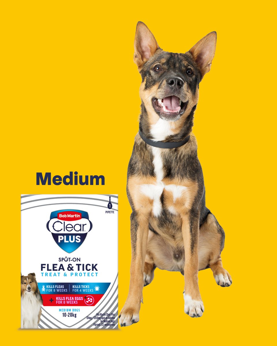 Bob Martin Pets tweet media