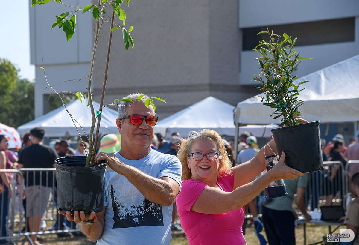 Miami-Dade 311 tweet media