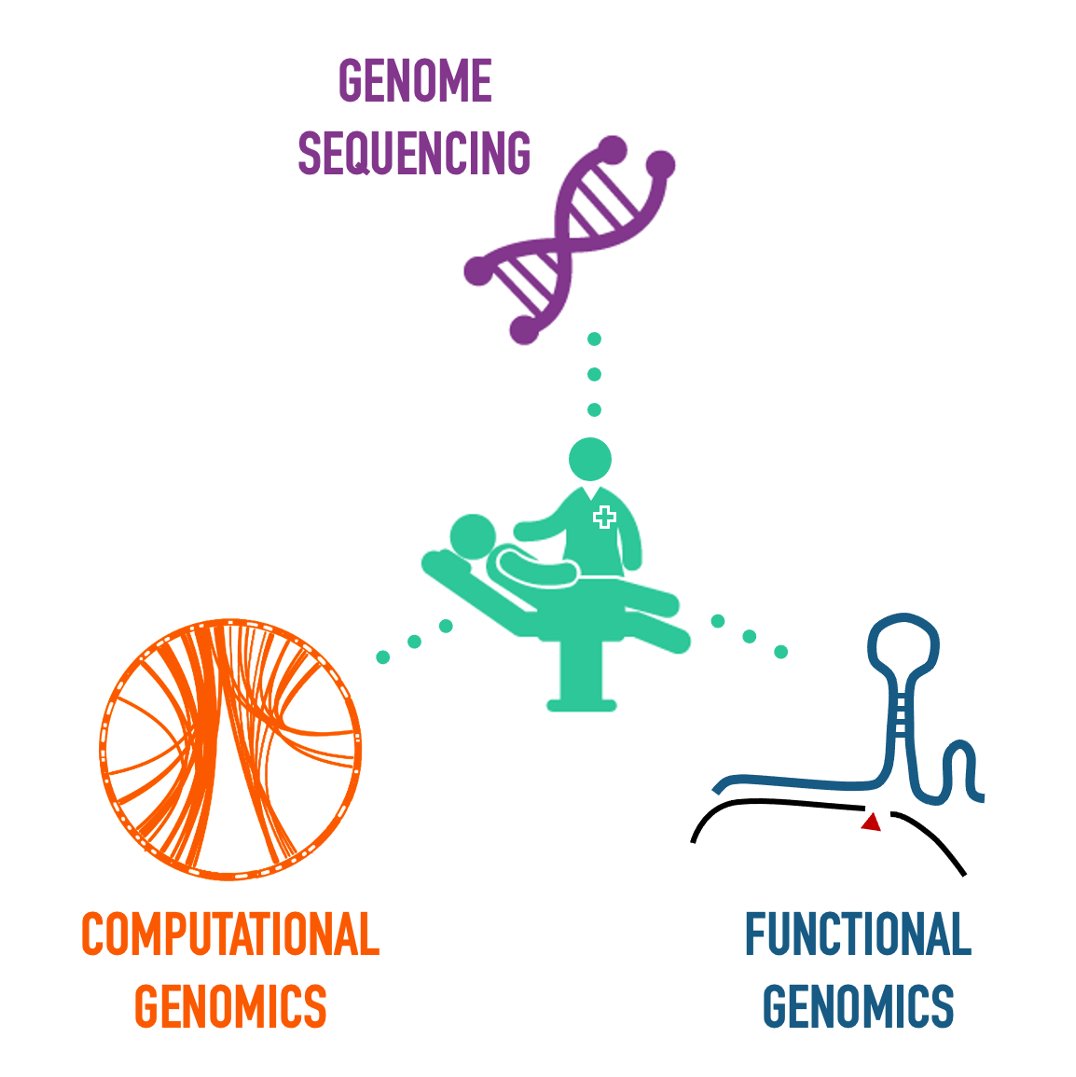 theNCI's tweet photo. NCI supports #GenomicScience to improve cancer diagnosis, treatments, and outcomes. Find out how: https://t.co/7KZZB0EXaN https://t.co/lSfP4lgoHR