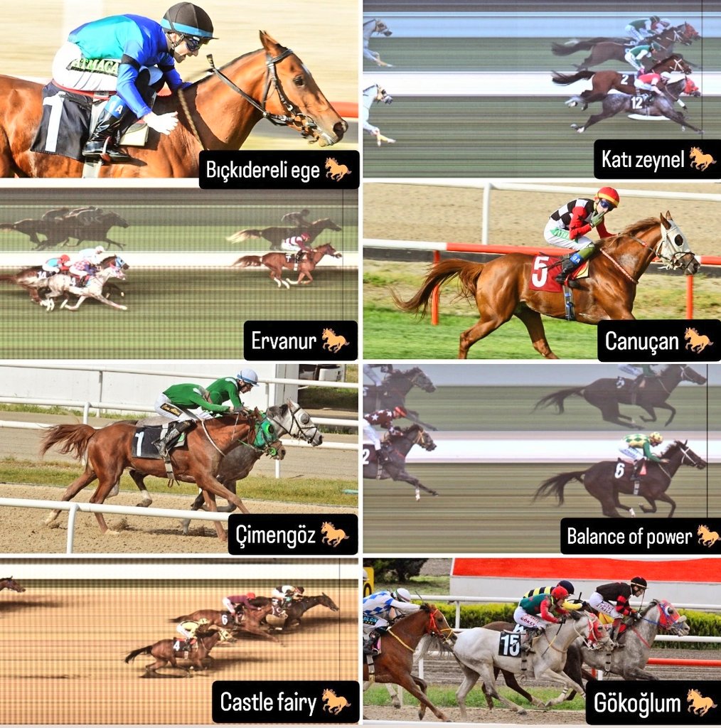 pride_falcon's tweet image. Nisan ayını sekiz 1.lik ile tamamladık, Bu başarımızda bize destek olan At sahibi, Antrenör ağabeylerime şahsım adına çok teşekkür ederim. 🐎❤💪
@brahimHalilKet2 🧢