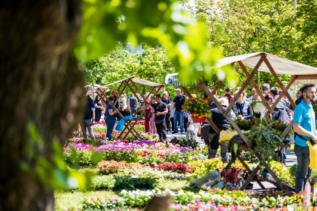 During the Flower and Tree Festival in Osijek, many children learned about the Moomin characters and the importance of living in harmony with nature. Finland celebrates the 80th anniversary of the Moomin stories this year. #Moomin80
Foto Mario Đurkić-Horizon Solution