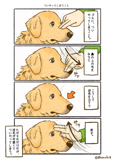 ゴルにこういうこと、ついやってしまうよね〜。 