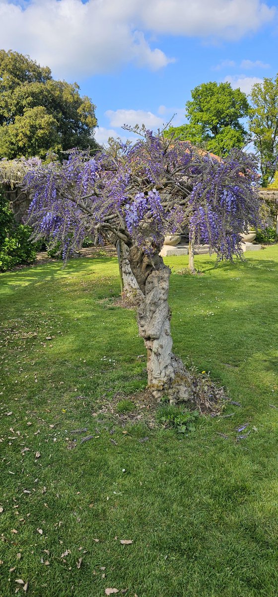 Hole Park Gardens tweet media