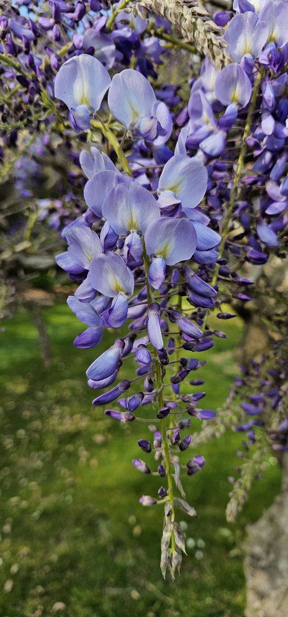 Hole Park Gardens tweet media