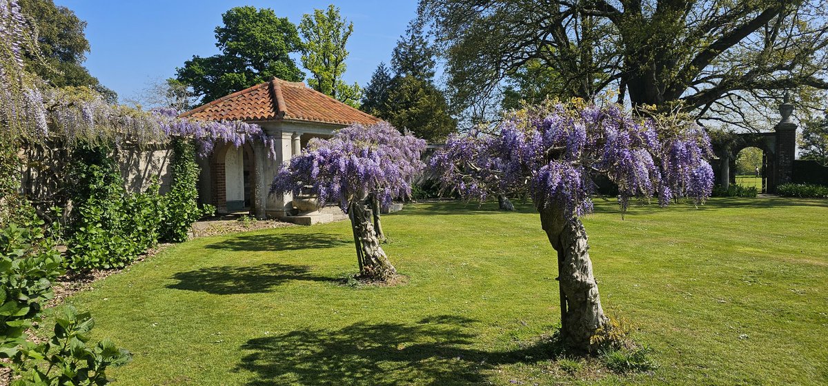 Hole Park Gardens tweet media