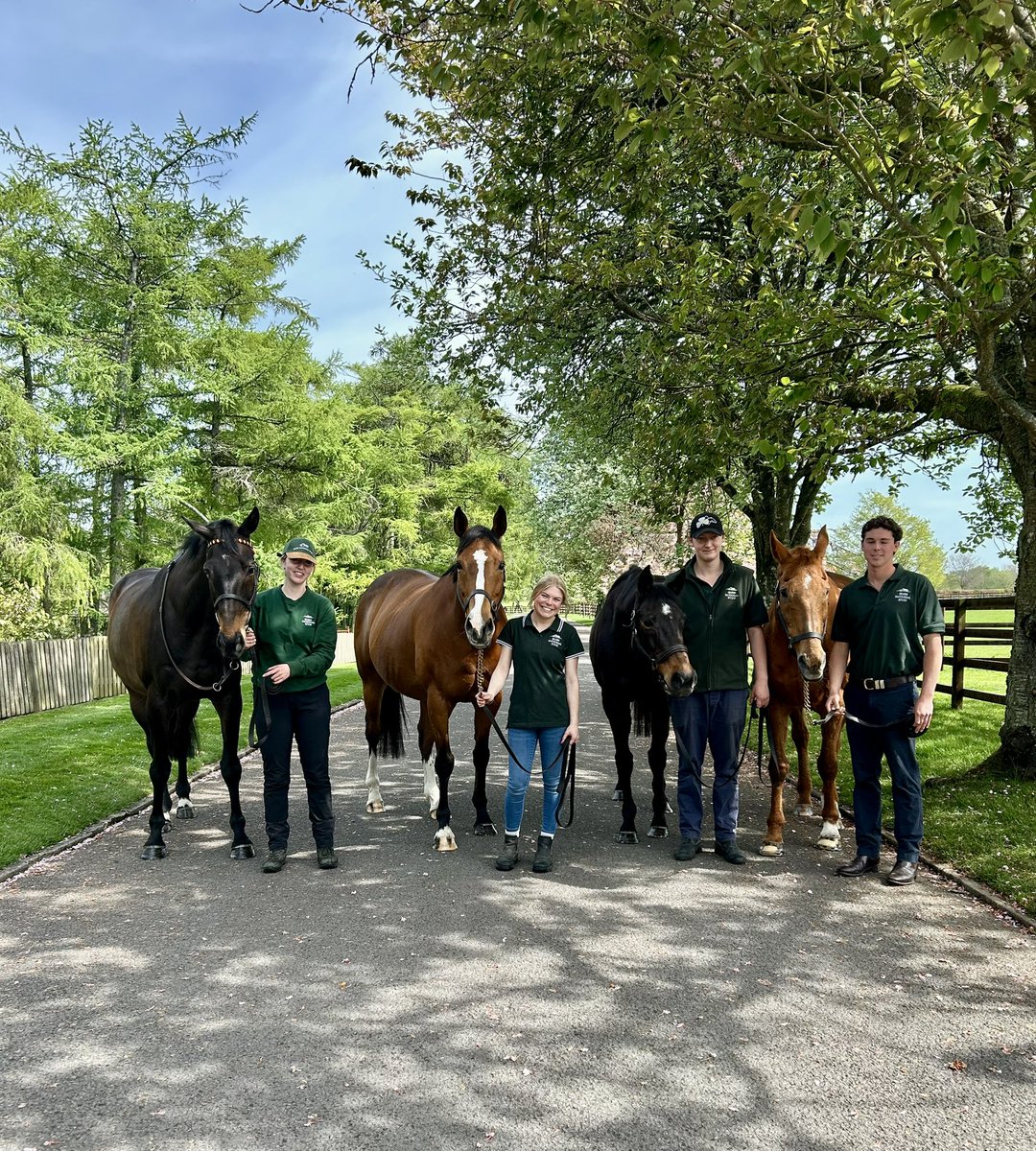 annechann0n's tweet photo. An incredible line up of true racing legends, multiple Grade 1 wins, Champion Hurdles and Gold Cups between them. Now living like royalty @IrishNatStud A well deserved life for champions of N.H #SizingJohn #Faugheen #HurricaneFly #BeeforSalmon https://t.co/3L7jdMd7vD