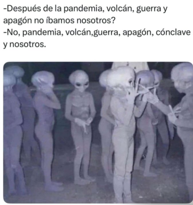 Fran Martínez🍊 tweet media