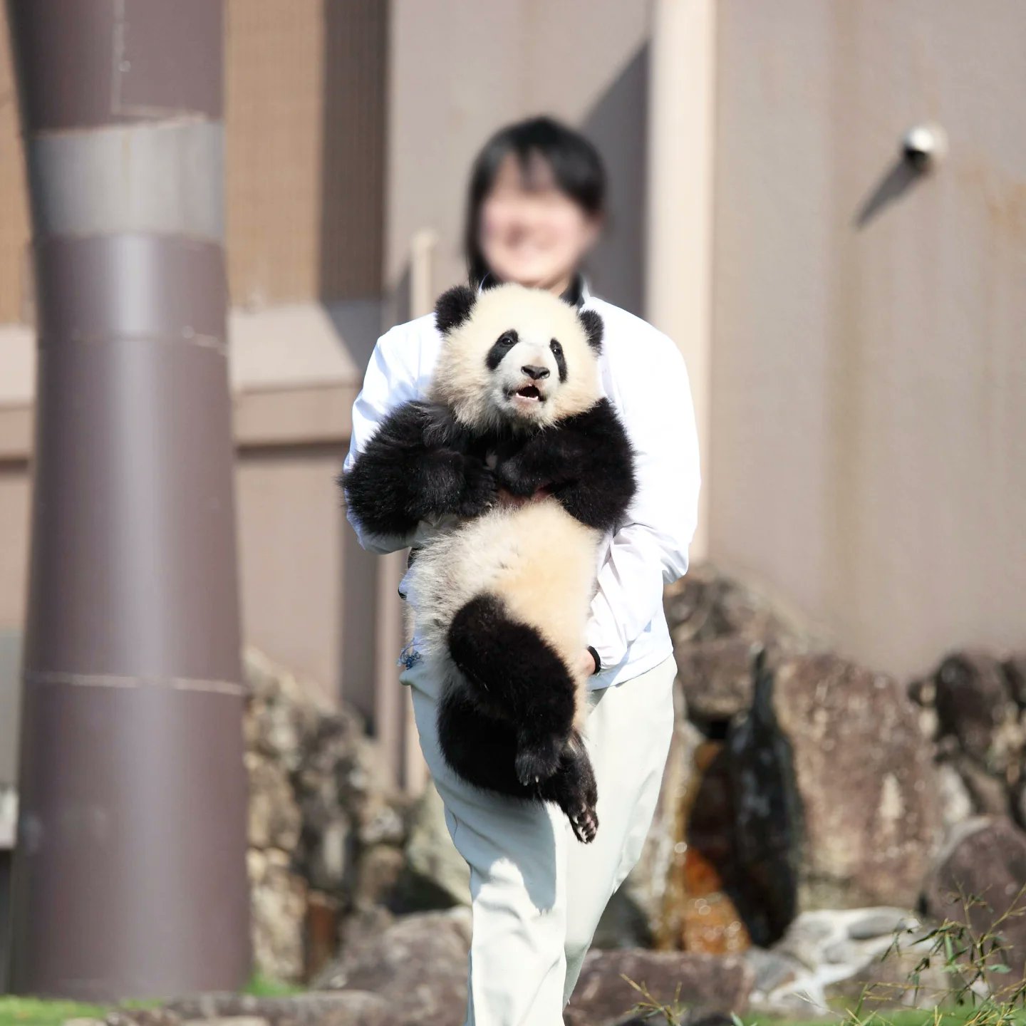 toshi (@toshi1213_f1) / X toshi (@toshi1213_f1) / X