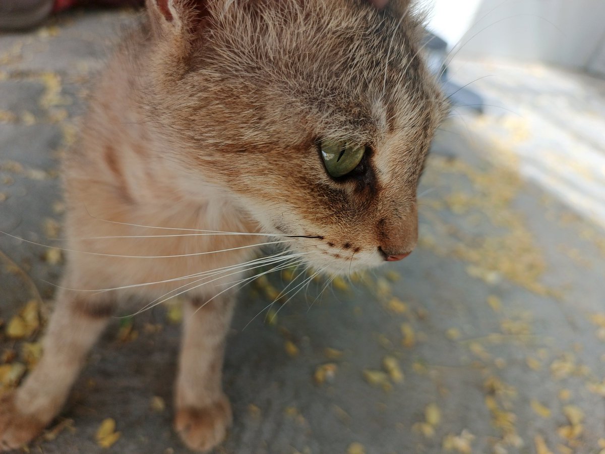 Mo 🇸🇩 (@feellesss) on Twitter photo 