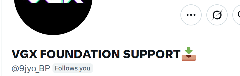 SpaceTInfinity's tweet photo. @VGXFoundation This guy is a SPAM, he took all the crypto from the wallet. Stay away from him!!!! https://t.co/HLKl9qBPY1