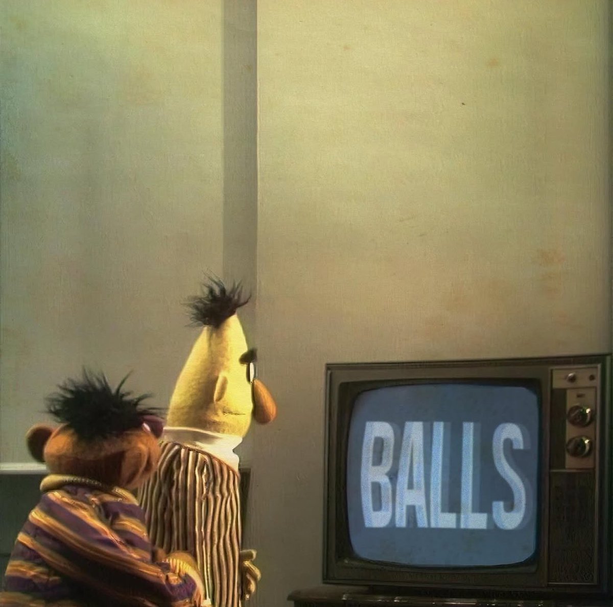 bert & ernie pics tweet media