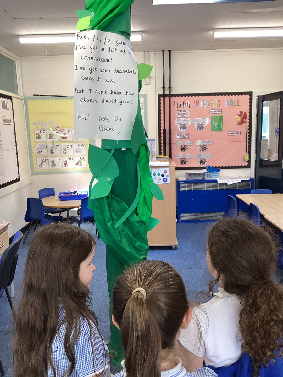 Something unusual has happened in 1/2R this morning… a giant beanstalk has appeared in the classroom with a special message!