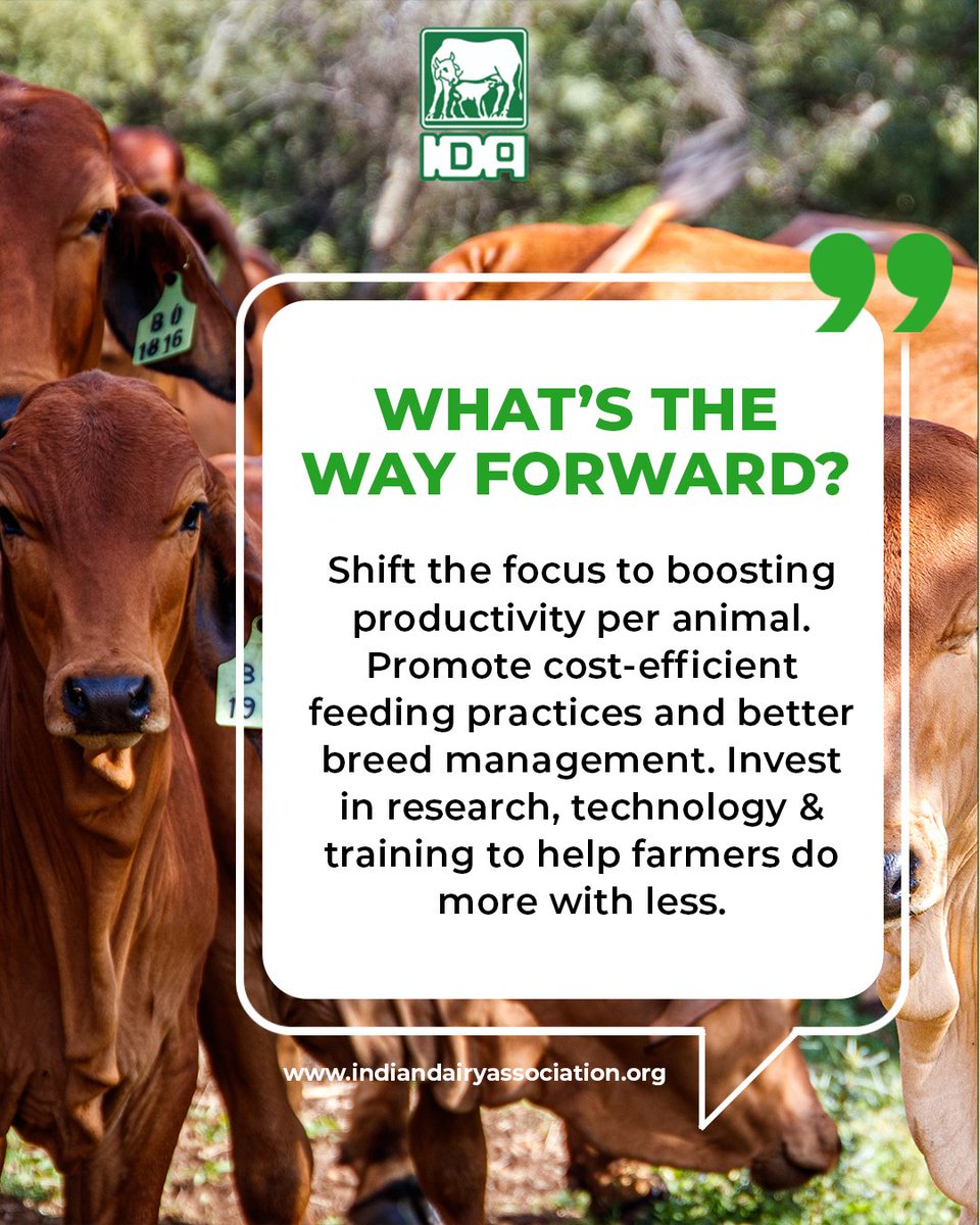 IndianDairyAsso's tweet photo. 📉 India’s milk production growth has dropped from 6% to 3.8%.
This slowdown signals deeper issues in the dairy sector.
It’s time for smarter practices and stronger farmer support.
🌐 https://t.co/a9AdPBIR2u
#DairyEconomy #MilkMatters #IDAUpdates #SmartFarming #FarmToFuture https://t.co/8gZEFTEkrj
