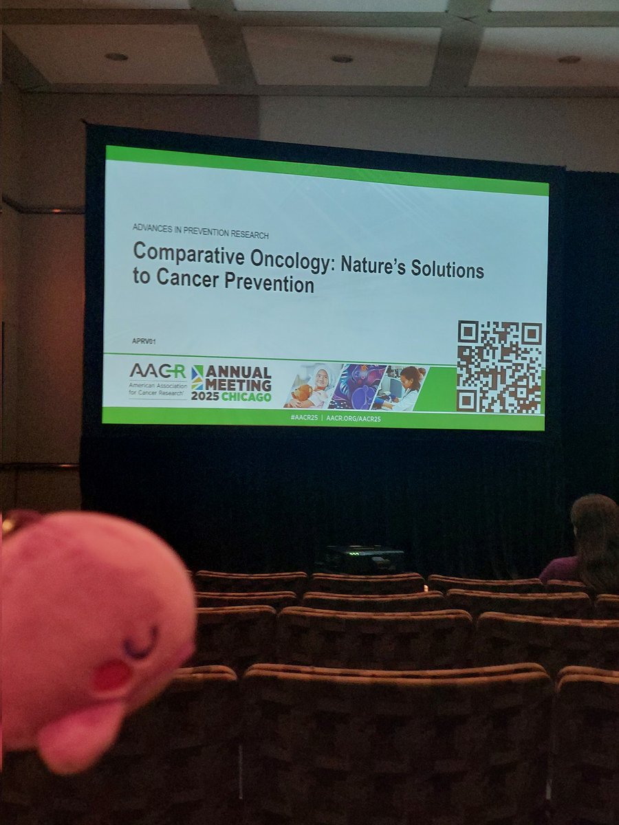 MorlaPhan's tweet photo. Day 4 of #AACR: ATTENDED THE MOST INTERESTING SESSION EVER (completely unbiased) on comparative oncology, hosted by THE Amy Boddy, ate the saddest brekkie sandwich, saw my fellow ungulates and admired the chicago nighttime skyline. https://t.co/4gXdPPUVbG