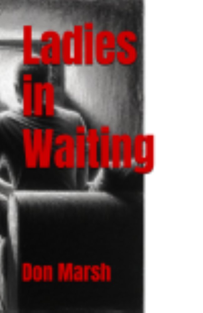 Looking  forward to talking to folks at the folks at the Mirowitz Center this  afternoon about my last book, Seeing is Believing, and announcing  publication of my latest, Ladies in Waiting. Should be fun.