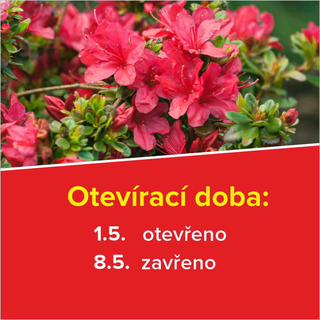 BaumaxCZ tweet media