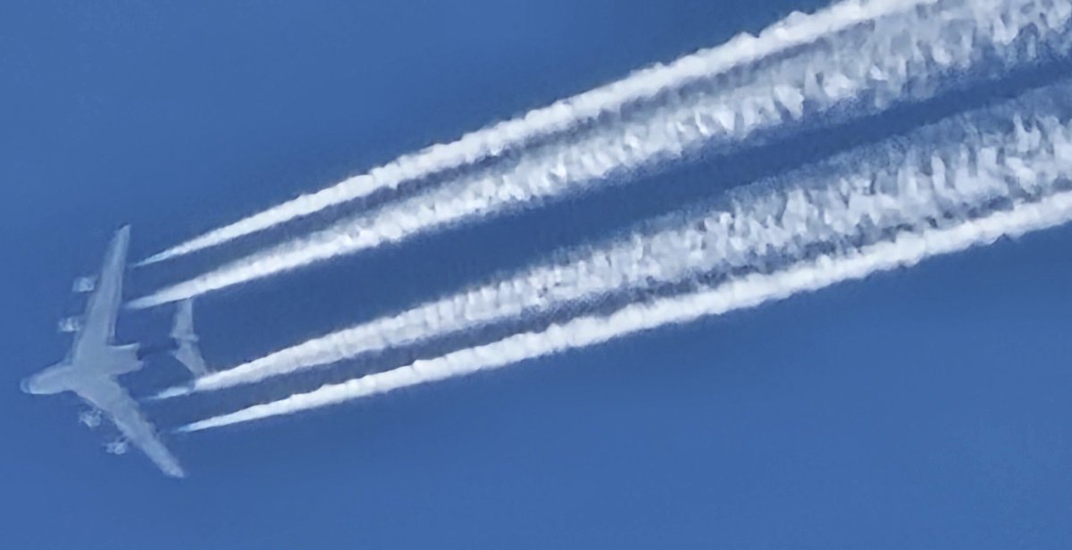 Anti Lockdown Alliance(GLOBAL) tweet media