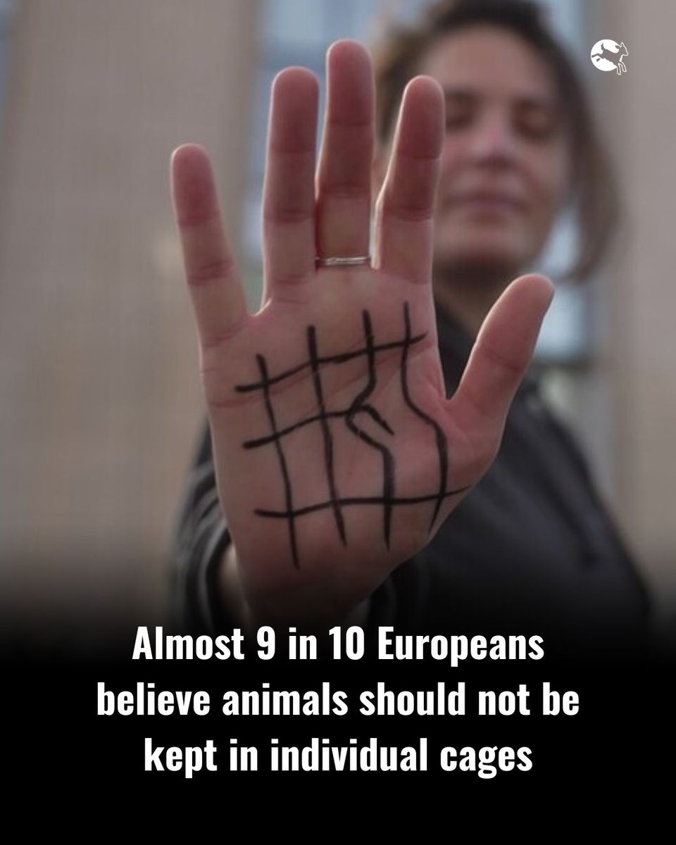 Compassion in World Farming EU (@ciwf_eu) on Twitter photo We need to #EndTheCageAge for all, no species excluded.
Animals do not belong in cages.
It’s time for the <a href="/EU_Commission/">European Commission</a> to act. We need to #EndTheCageAge for all, no species excluded.
Animals do not belong in cages.
It’s time for the <a href="/EU_Commission/">European Commission</a> to act.