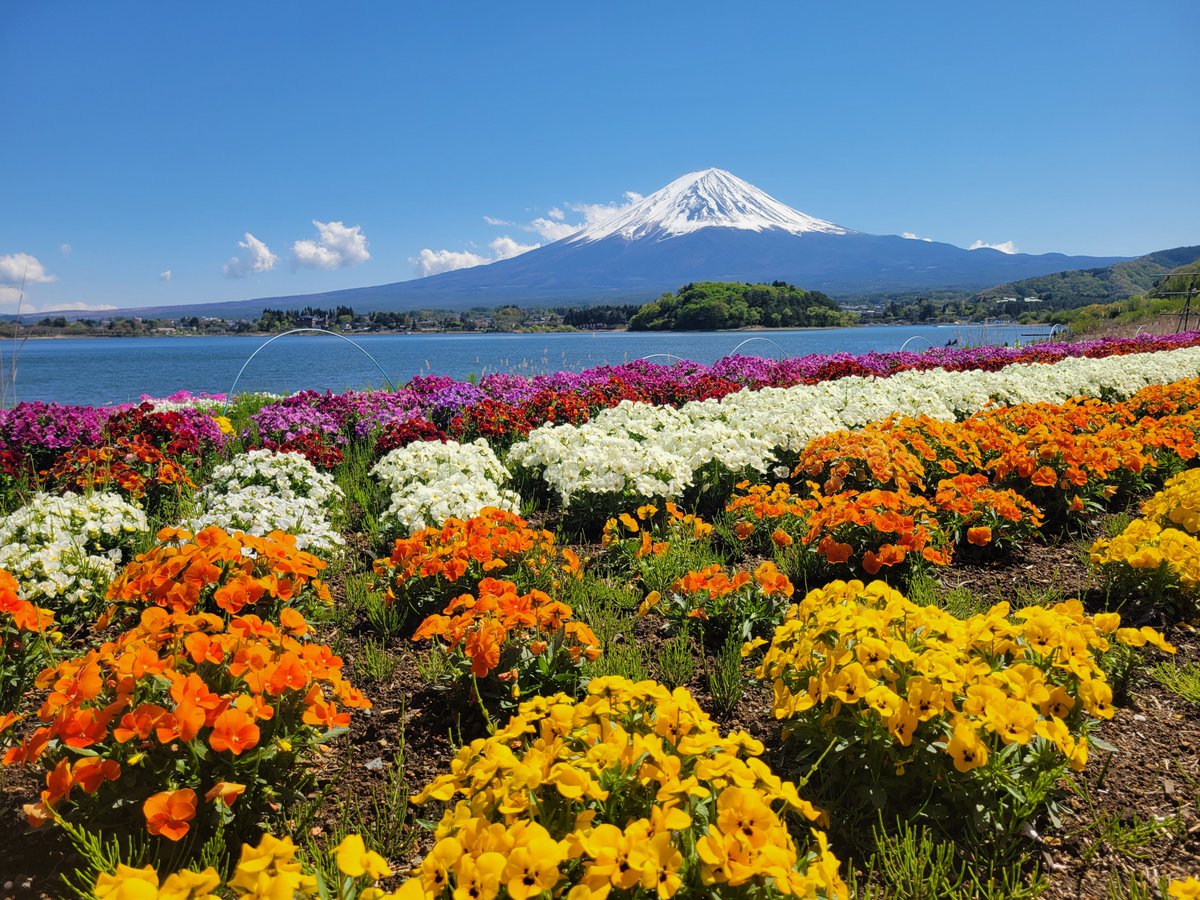 MattHively's tweet photo. Absolutely stunning and beautiful views of Mt. Fuji today. I felt so lucky to have the amazing weather to make this possible. https://t.co/YcByUrHwQX