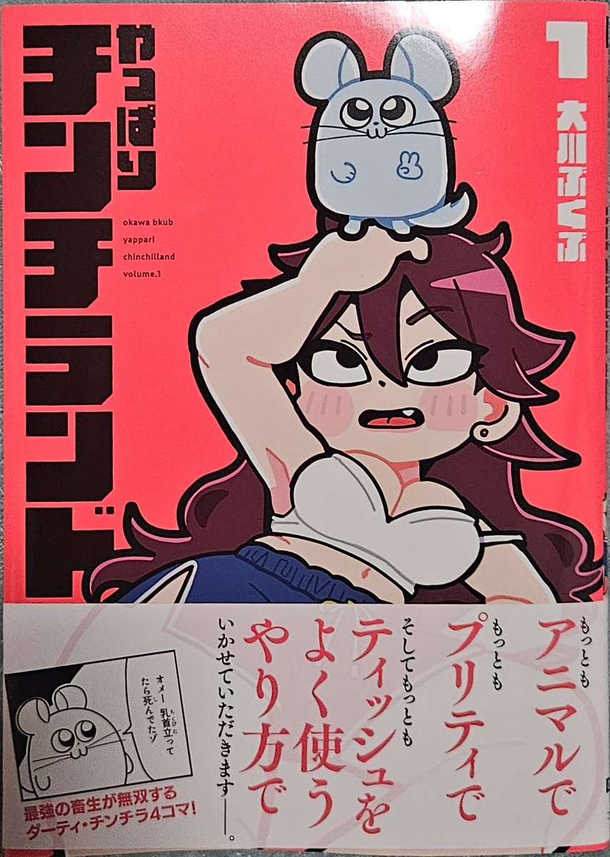 正直ポプテのノリが苦手だから迷ったけどチンチラだから買ってきたんだ…
5本くらいうちのデカいチンチラ(夫)と同じこと言ってた😂😂😂
🐭「風評被害!」 