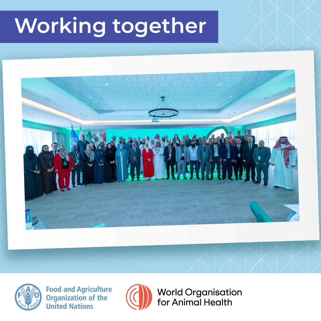 Regional collaboration in action!

At the GF-TADs Middle East workshop, countries are working together to strengthen strategies against Foot-and-Mouth Disease and Peste des Petits Ruminants.

Find out more: gf-tads.org/events/events-…