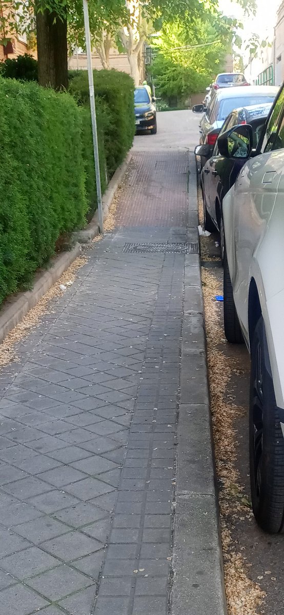 walkingdays's tweet photo. Hola @Lineamadrid esto en calle Azcoitia entre los números 3 y 5. El barrendero acaba de pasar y va dejando todo esto sin recoger. Es algo que repite este mismo trabajador cada día que viene a esta calle. https://t.co/CAwNkMBKeg