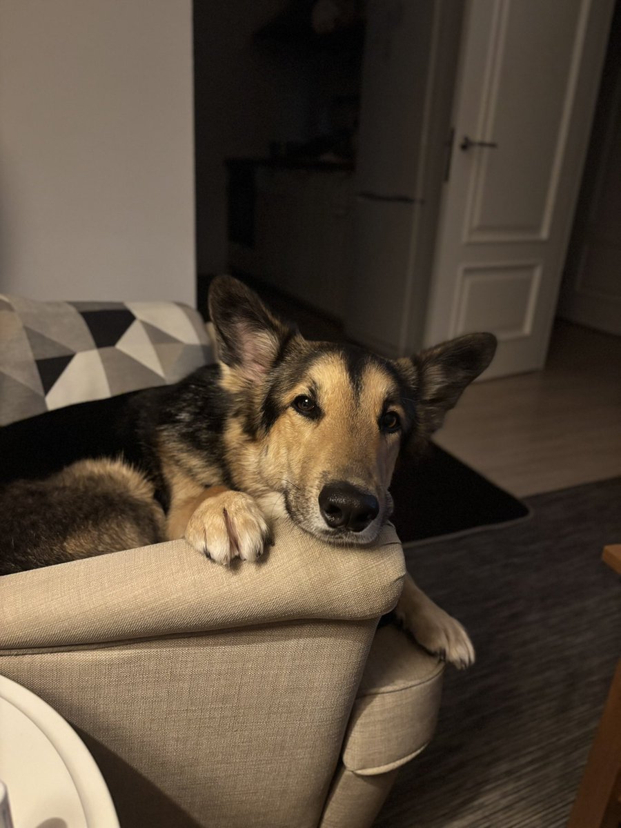 uncannyJenny's tweet photo. *встаёт на табурет* ИЩУ РАБОТУ ПРОДУКТОВЫМ ДИЗАЙНЕРОМ

опыт 5 лет, внутренние продукты, админки, b2b, b2c, дизайн системы, верстка на флексах и гридах, десктоп и мобилки, прототипы, исследования, скрам, работа со сложной аналитикой.

портфолио по запросу.
вот я и мой пет-проект https://t.co/UR04n6k3NW