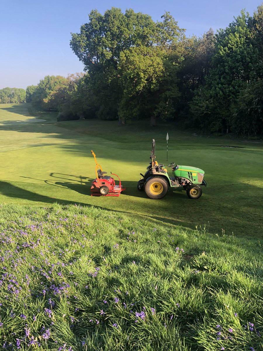 Miles_gkeeper's tweet photo. Picture perfect 😍. Out on the @Tru_Turf after the Procore yesterday. #greenkeeper #truturf #smooth #bluebells #sun https://t.co/YaOkVNunWO