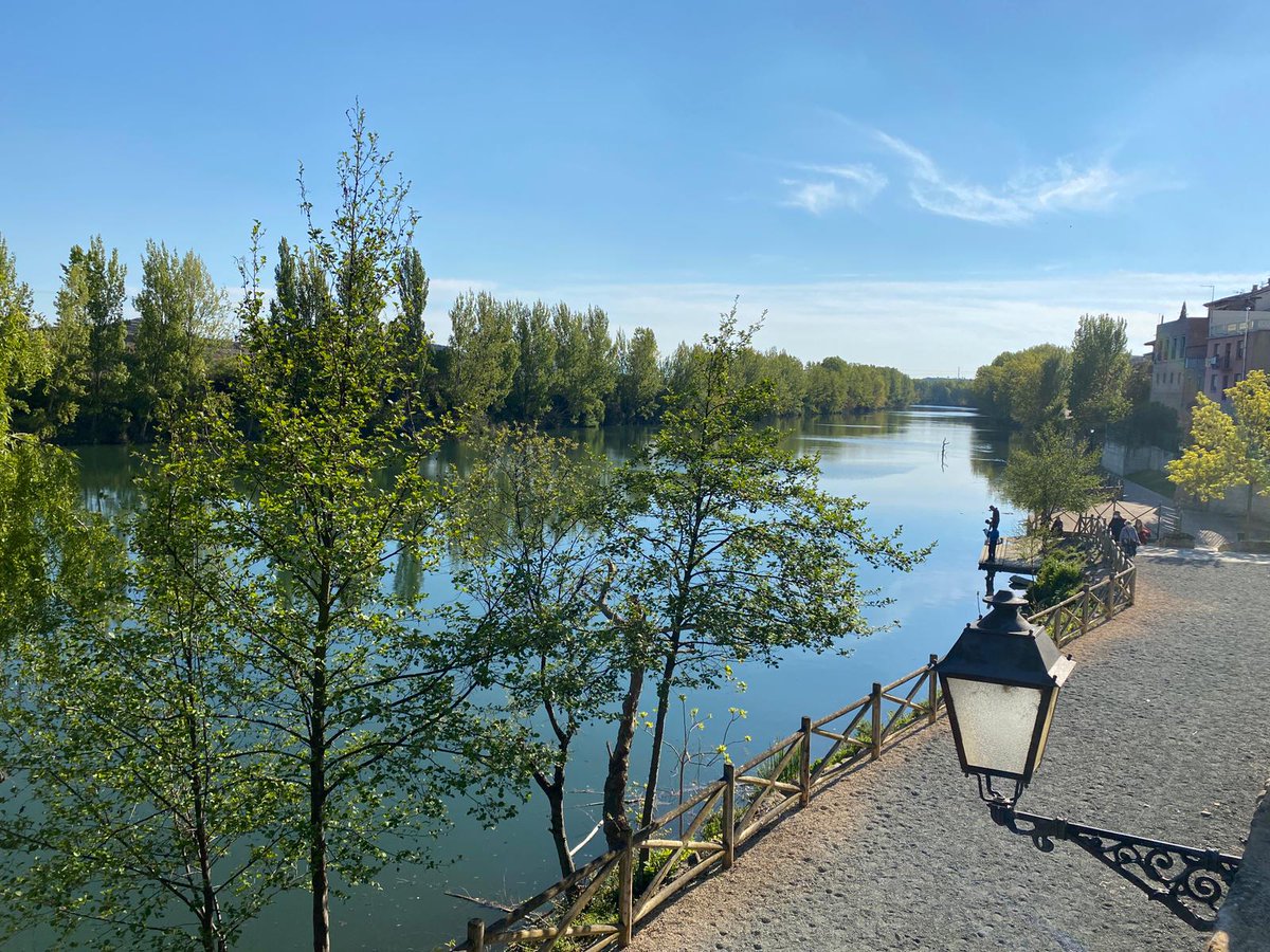 Este puente de mayo, elige Ruta del Vino Rioja Alta 🌼 Déjate enamorar por la primavera en estado puro: viñedos en brotación, cielos despejados, paisajes verdes... Ven a caminar entre viñas, a descubrir senderos que conectan naturaleza y patrimonio, y a degustar la Rioja Alta.