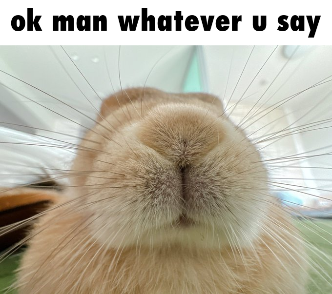 emma 🐇 (@forestdruiddyke) on Twitter photo 