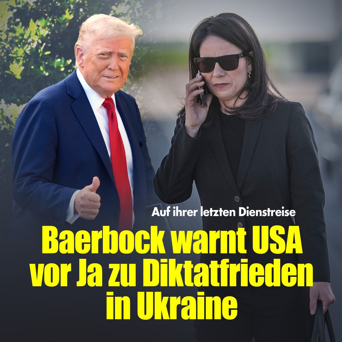 Annalena Baerbock Parody tweet media