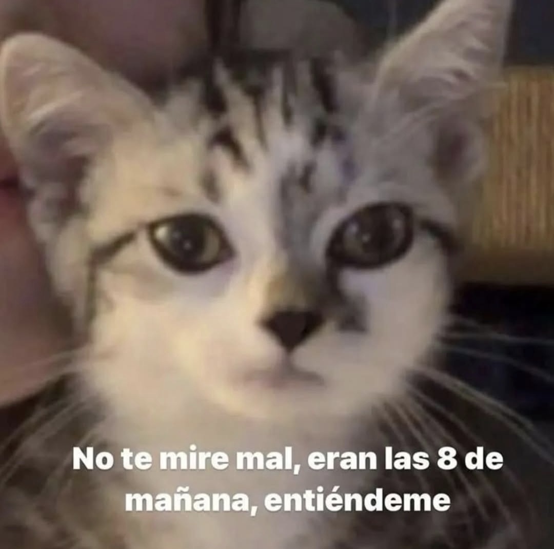 En Júpiter (@en_jupiter_) on Twitter photo 