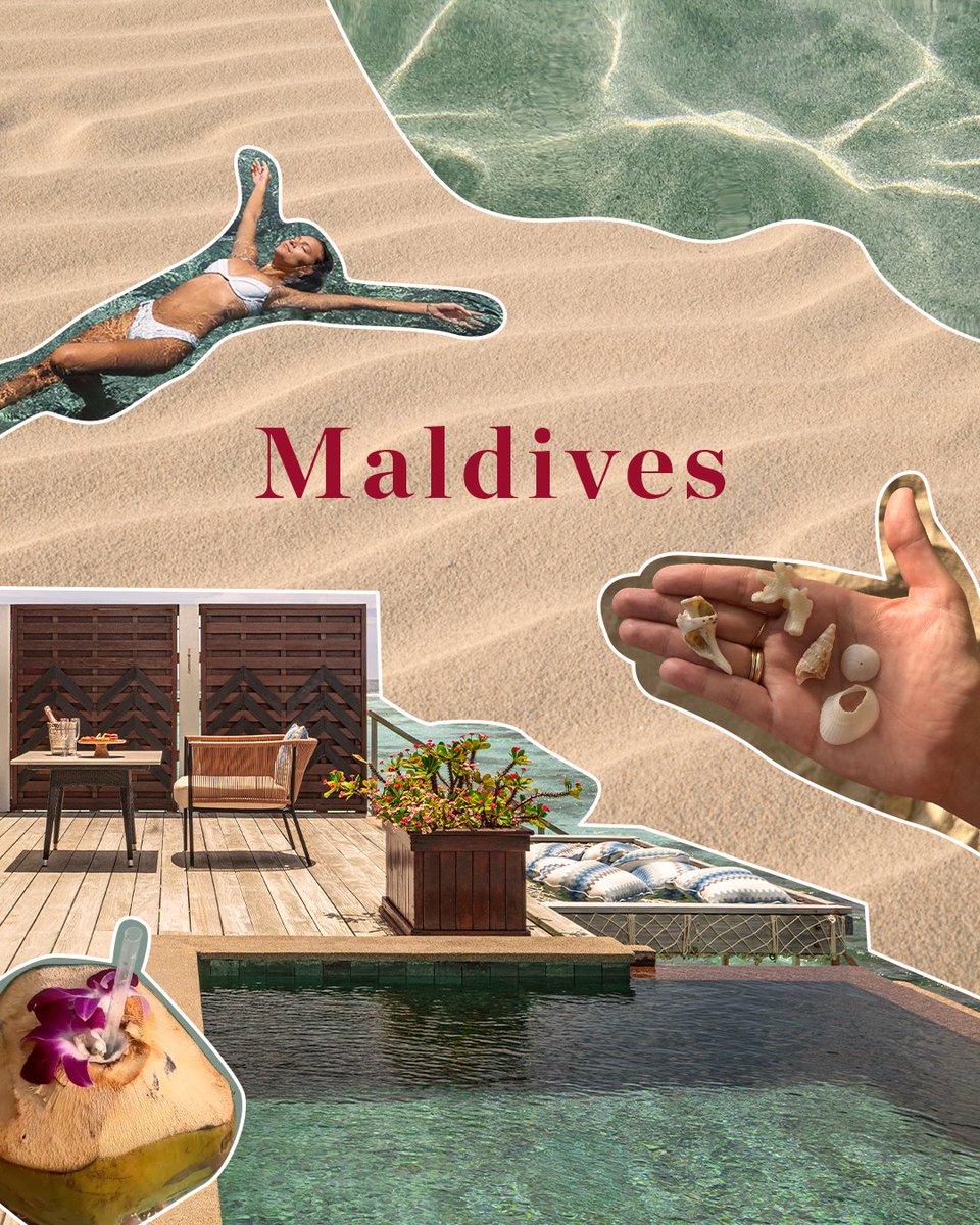 nhcollection's tweet image. Escape to the Maldives 🌴✨ Turquoise waters, overwater villas, and pure relaxation await. Your dream getaway is calling. Discover our world at #MinorHotels​

#NHCollection #NHCollectionExperience #MaldivesParadise #IslandEscape #TropicalGetaway