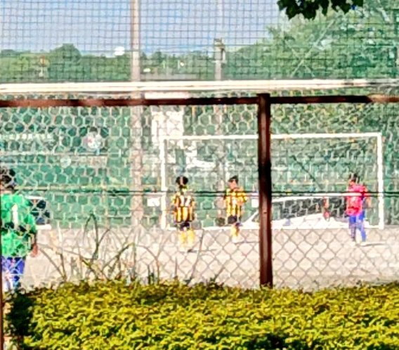 He encontrado a manyas pequeños en Tokio💛🖤😆