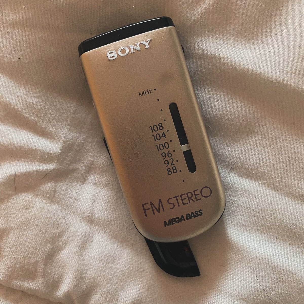 Pilar Noguera tweet media