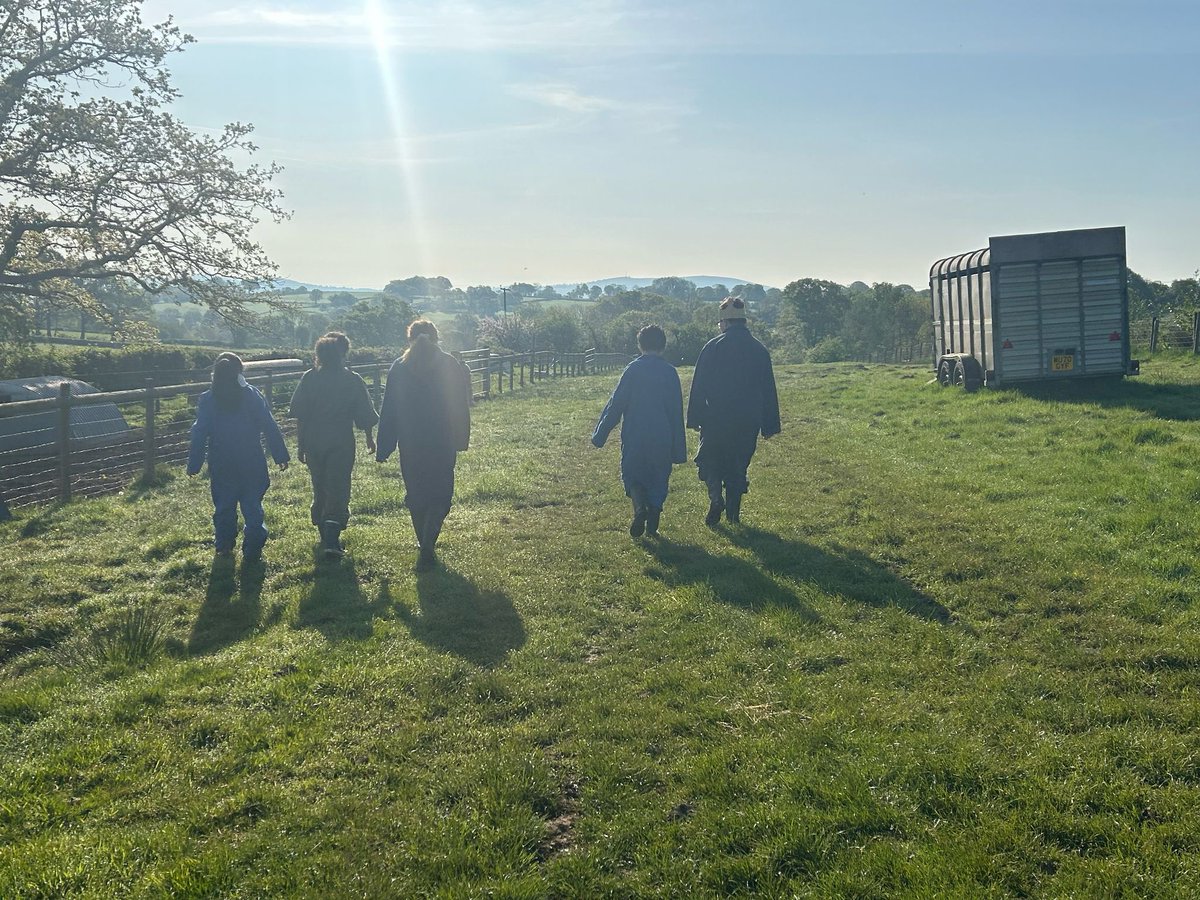 Harris Garrard tweet media