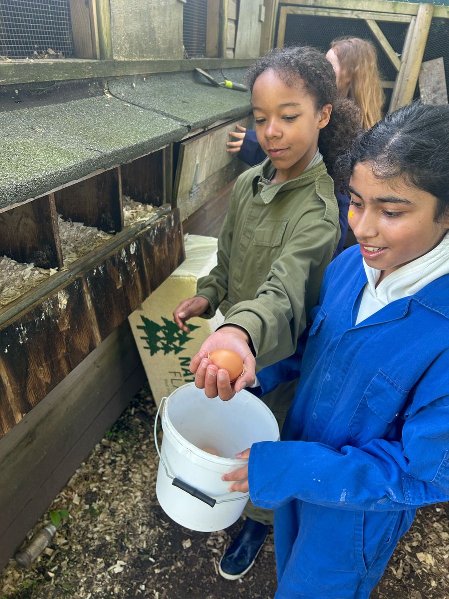 Harris Garrard tweet media