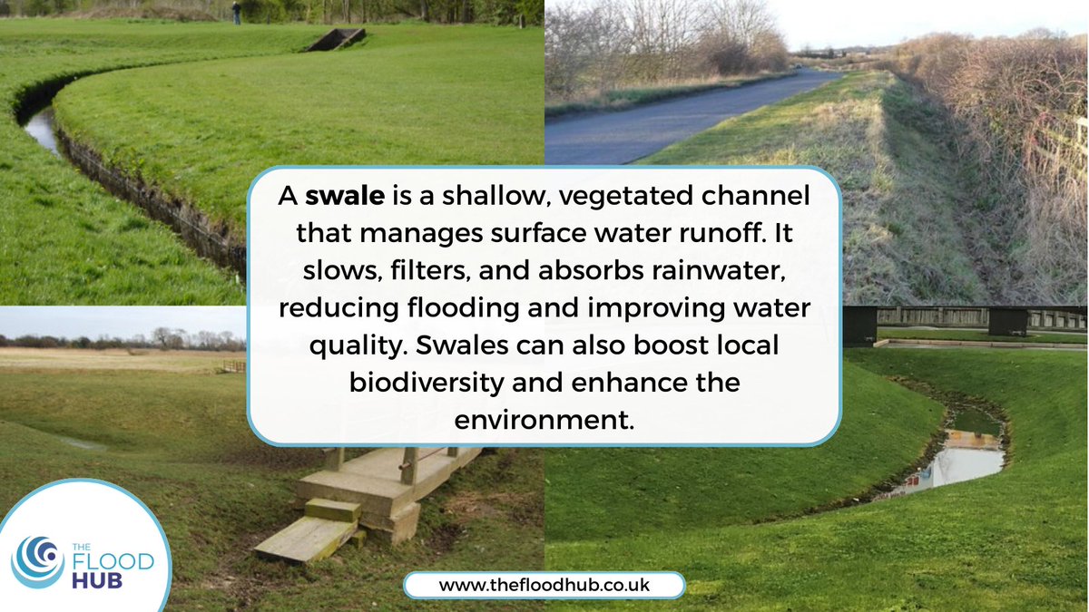 TheFloodHub's tweet image. 🌧️💧  What are Swales and How Do They Help with Flooding? 🌱

#Swales  are shallow channels that temporarily store and allow #surfacewaterrunoff to infiltrate, reducing demand on drainage systems and watercourses. Swales can be ‘wet’ (above ground) or ‘dry’ (below ground). They