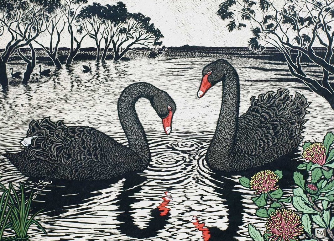 'Black Swans' linocut by contemporary Australian artist and printmaker Rachel Newling #womensart