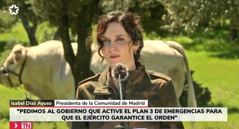 ¡¡Es que te tienes que reír!!
Ayuso vestida de militar y con una vaca lechera detrás.
#apagon #apagao