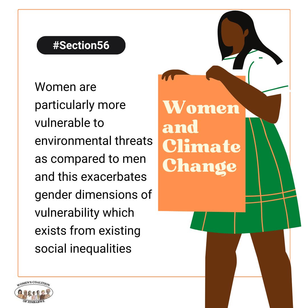 Women's Coalition of Zimbabwe (@wcozimbabwe) on Twitter photo Let us promote gender-responsive natural resource and environmental governance in Zimbabwe's extractive sector, leading to equitable access, participation, and benefits for women #GenderEquality #NDS2 #EnvironmentalGovernance #WomenandNaturalResources <a href="/SthrnAfrcaTrust/">Southern Africa Trust</a> Let us promote gender-responsive natural resource and environmental governance in Zimbabwe's extractive sector, leading to equitable access, participation, and benefits for women #GenderEquality #NDS2 #EnvironmentalGovernance #WomenandNaturalResources <a href="/SthrnAfrcaTrust/">Southern Africa Trust</a>