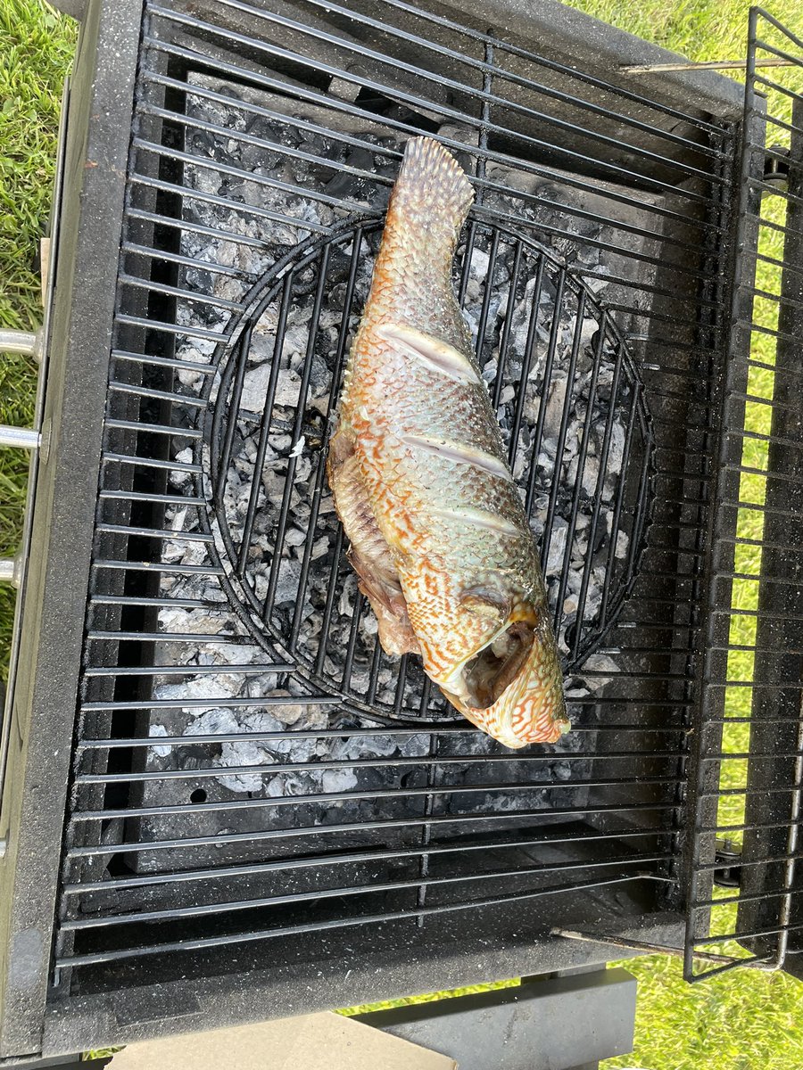 Lo de ayer ha sido muy duro. Por favor que nadie tropiece y desenchufe todo otra vez *guiño guiño*