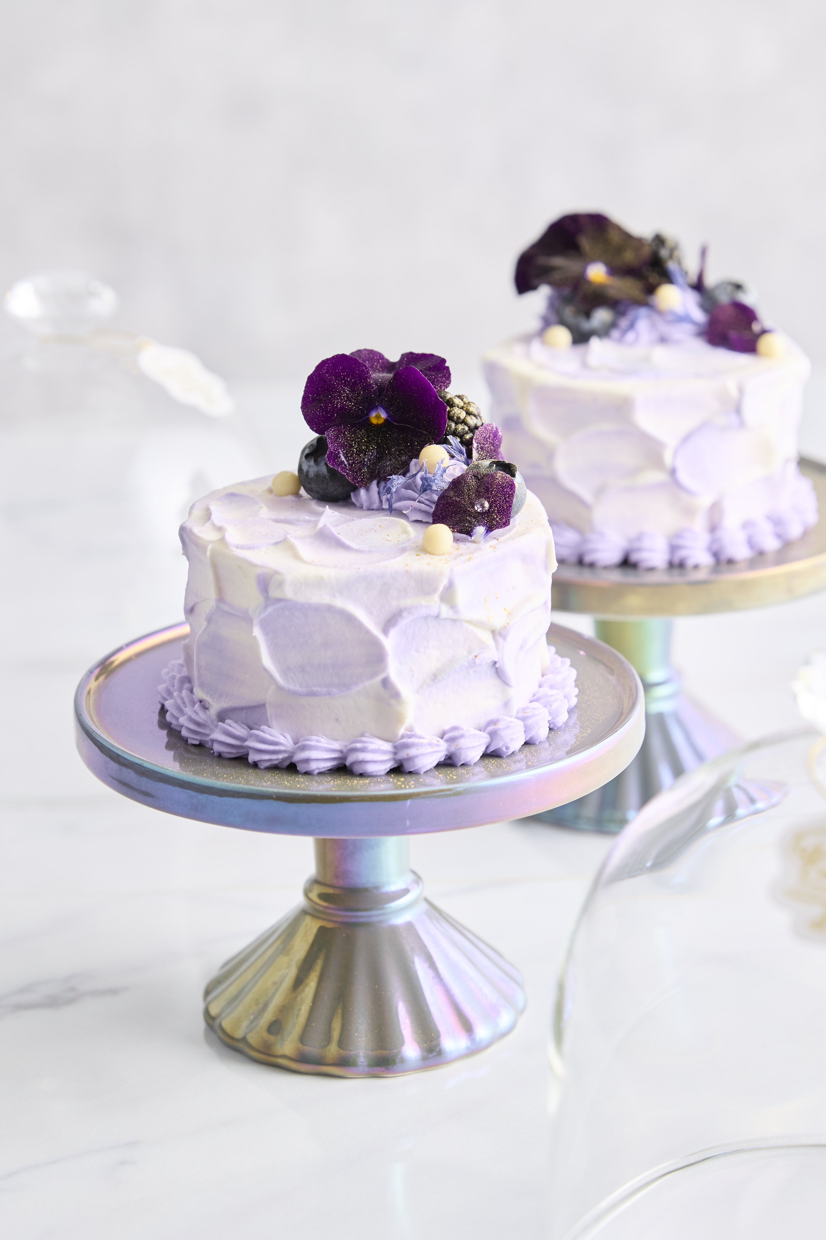 ケーキ 🍊せとかのショートケーキ🍊 本日限定で 【せとかのショート