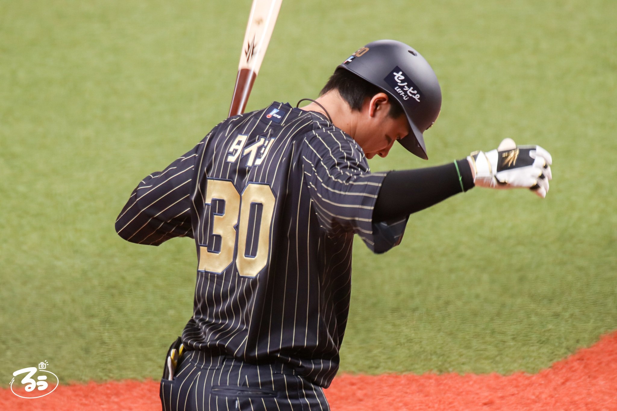 HF-FUYUYOZAKURA SE'22 F,S/STD | Deviser ｜株式会社ディ