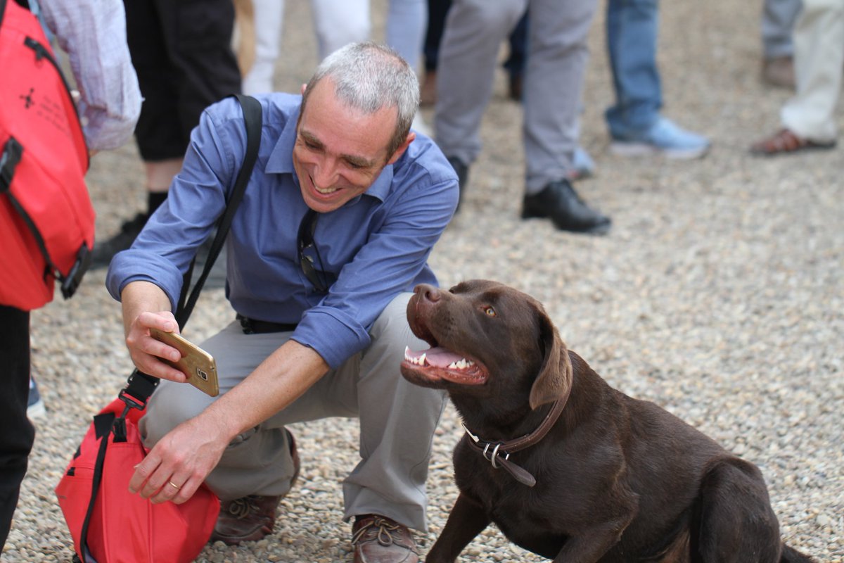 🔴 𝗠𝗘𝗥𝗖𝗜 | Il est temps de vous rendre hommage, à vous, chers visiteurs ! 🙏 

Grâce à vos visites, vous nous permettez de continuer à entretenir, restaurer et valoriser ce trésor que l'Histoire nous a transmis. 🧡